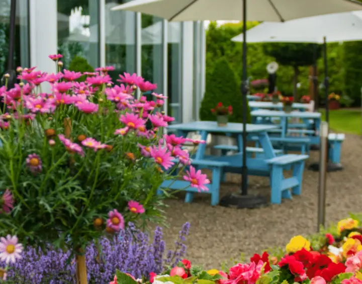 garden at Newbridge Silverware Visitor Experience